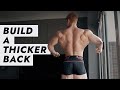 How To Build A Thicker Back
