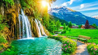 Beautiful Relaxing Music - Stop Overthinking, Stress Relief Music, Sleep Music, Calming Music #5