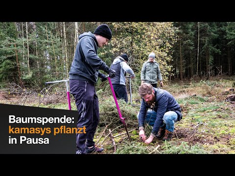 Spendenaktion: Baumpflanzung in Pausa | kamasys