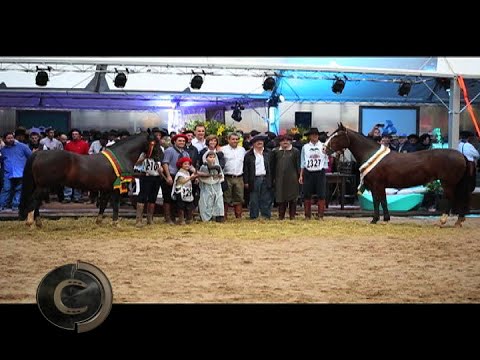 Cala Bassa doubles up at Expointer's Morphology!