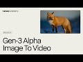 Image To Video With Gen 3 Alpha Runway Academy