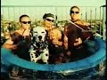 Sublime Doin' Time Uptown Dub Music Video