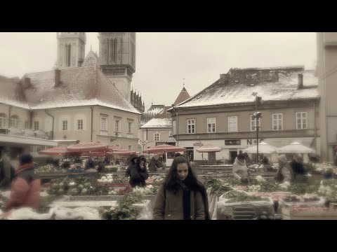 E' arrivata un'altra farfalla...