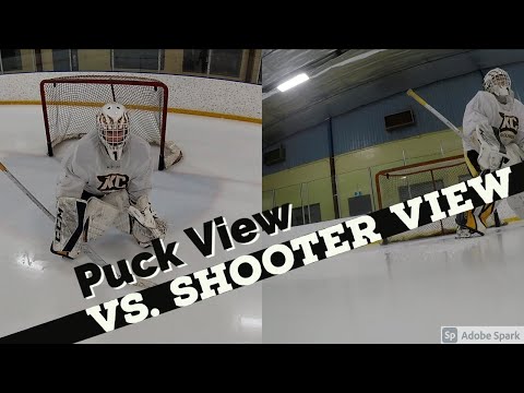 Puck View vs. Shooter View