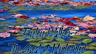 Ryley Walker: "The Great & Undecided" live in Albany, NY.  1080HD 1/4