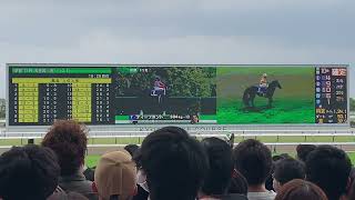 第167回 天皇賞・春 現地ターフビジョン 1 (2023/04/30)