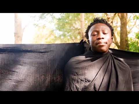 BLACK DOG OFFICIAL TRAILER