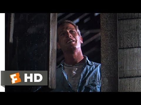 Cool Hand Luke (1967) - That Ol' Luke Smile Scene (8/8) | Movieclips