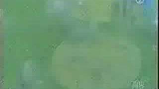 Sesame Street - Letter N in the pool