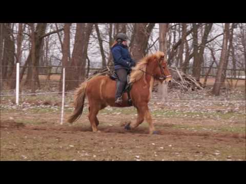 Glóð Training 29 01 2017