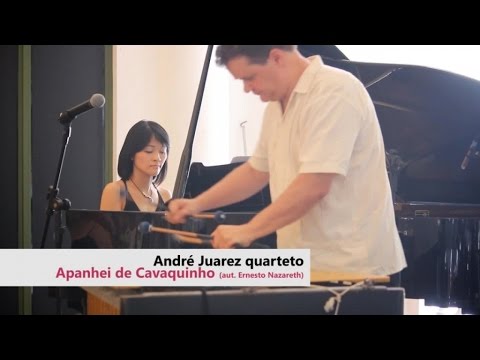 André Juarez Quarteto - Apanhei te Cavaquinho