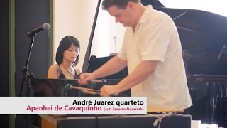 André Juarez Quarteto - Apanhei te Cavaquinho