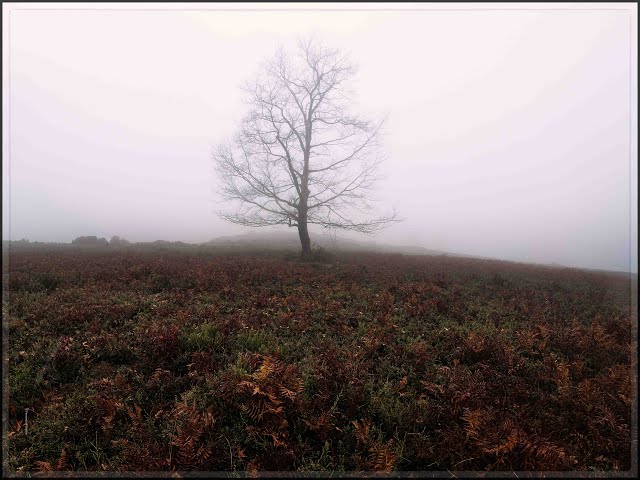 GMVR na Marcha Magusto