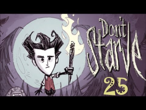 Don't Starve #25 - ( Hunde und Vögel )  [Deutsch] -HD- (facecam)