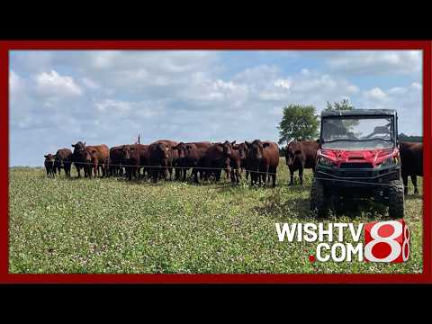 May 2, 2026 - Almost Paradise Farm