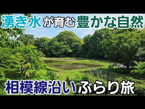 豊かな自然を育む湧き水の街でぶらり旅！