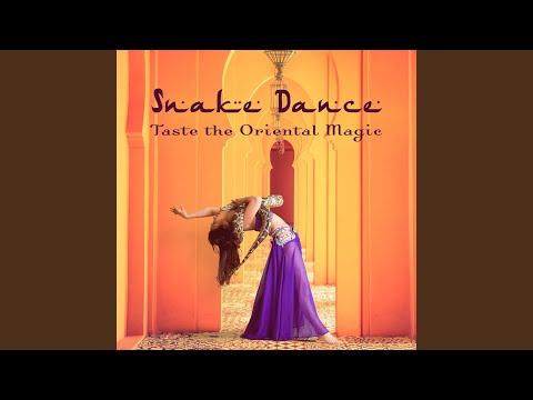 Fantastic Experience