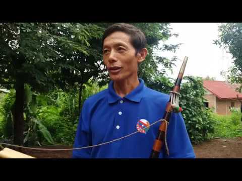 Qeej nuj nrws ib tag hmoo 2017