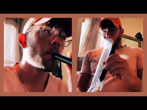 Vivant VLeaf Go - Quick Demo