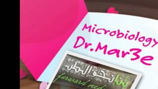 Dr Mar3e  _4 -Neisseria p 18