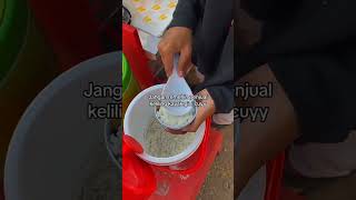 Download lagu Kerja Kantoran Mana Bisa Gajinya Melebihi Omset Jualan Nasi Cokot COKOTO #omsetjutaan #usahakeliling mp3