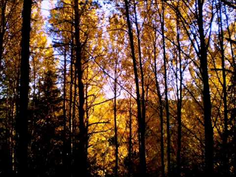 Riippakivi - Tuli On Irti