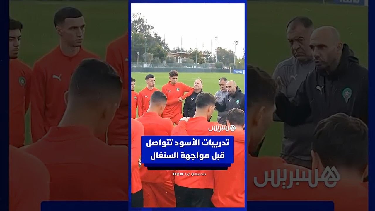 تدريبات الأسود تتواصل قبل مواجهة السنغال thumbnail