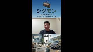 シグモンのライブ配信