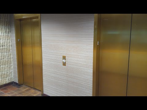 Gold Colored Dover Impulse Hydraulic Elevators