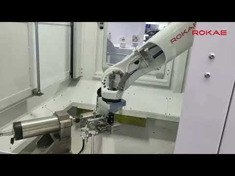 ROKAE NB25h 57mm Large Hollow Wrist Robot: Grind and Deburr with Precision and Power #robots