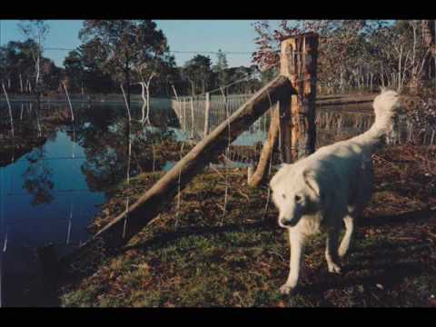 Helicopter Ringer   ---  Ernie Bridge