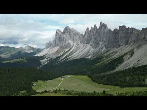 Tree Forest South Tirol Seceda Alps Mountains Gebrder Umkreisel App   free stock video footage