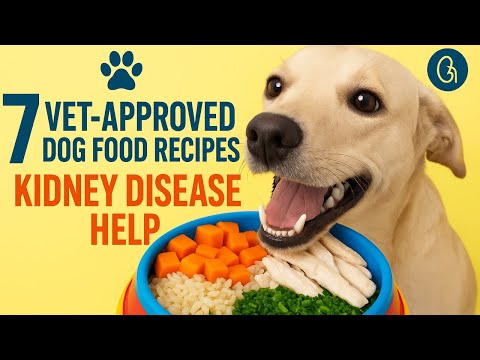 7 Vet-Approved Homemade Dog Food Recipes for Kidney Disease (Low Phosphorus & High Taste!) #doglove