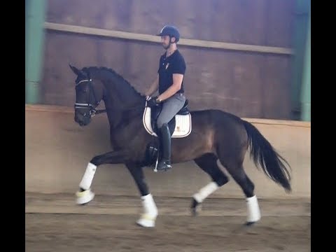 Broadmoars Wahre Poesie