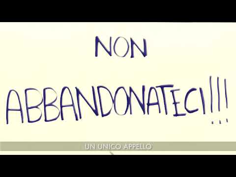 Maurizio Mattioli ed Enzo Salvi a nome degli artisti: "Non ci abbandonateci"