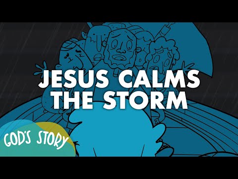 Witness21 Editor  2019 02 04