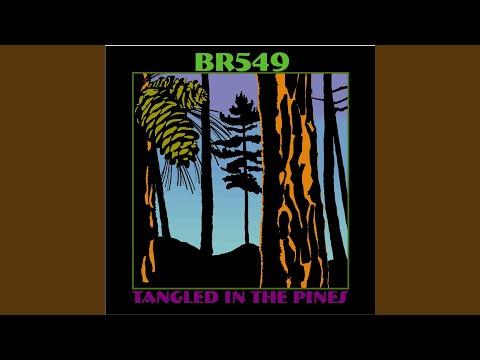 No Friend Of Mine - BR-549