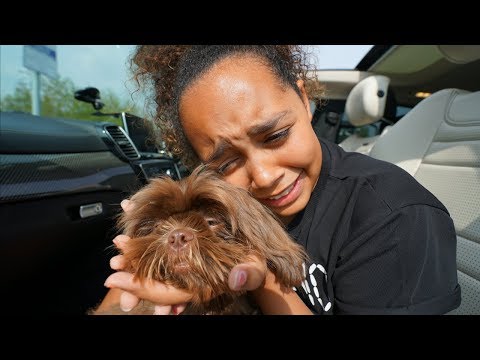 TIANA CRIED!! TIANA'S PUPPY IS COMING HOME