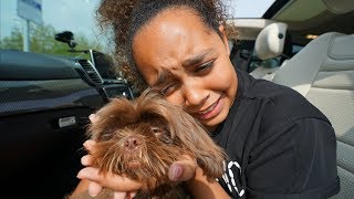 TIANA CRIED!! TIANA&#39;S PUPPY IS COMING HOME