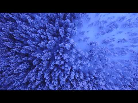 Música calmante para o coração