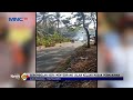 Kehabisan Makanan Kawanan Kera Masuk Permukiman Warga Di Gunungkidul LintasiNewsPagi 08 09