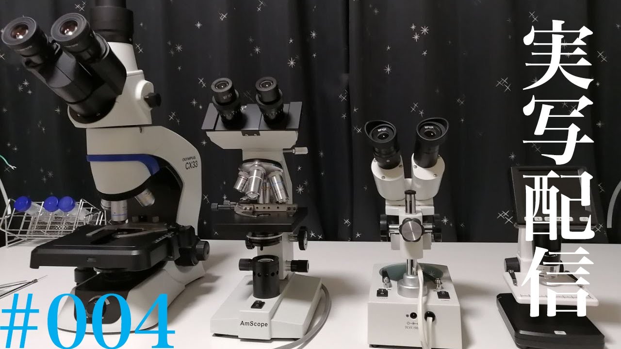 【実写】顕微鏡配信！色々な微生物を見てみよう