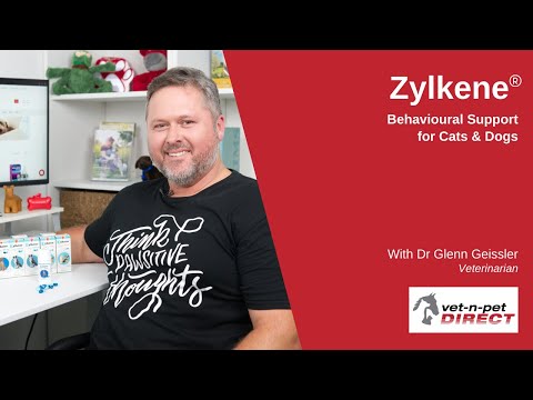 How Zylkene Capsules can help pets with anxiety