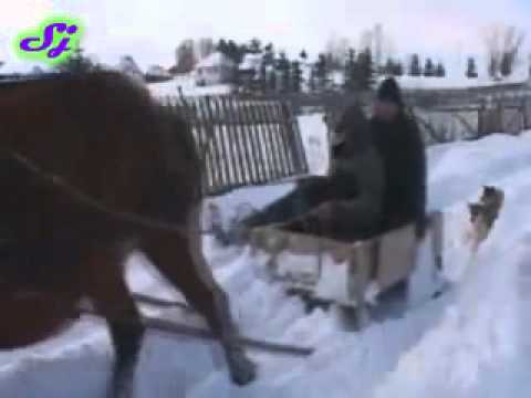 Sasvim prirodno Pester.wmv