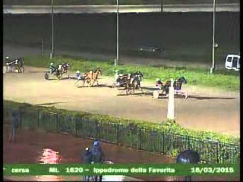 8° CORSA  del 16 MARZO 2015