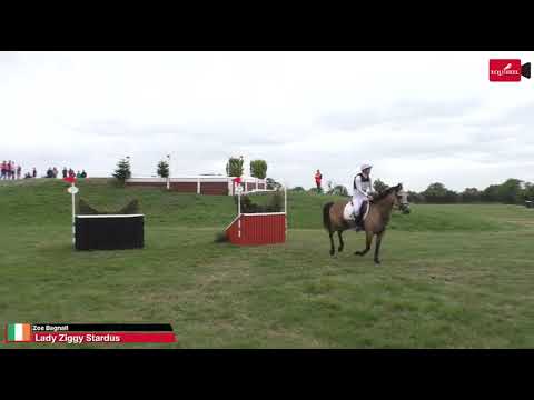 148 Connie type Sports Pony - Image 2