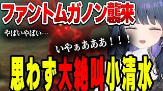 【ゼルダの伝説 ティアーズ オブ ザ キングダム】突然の強敵に大パニックな小清水透【小清水透/にじさんじ/切り抜き】
