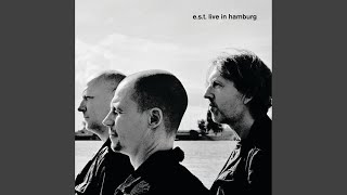 The Goldhearted Miner