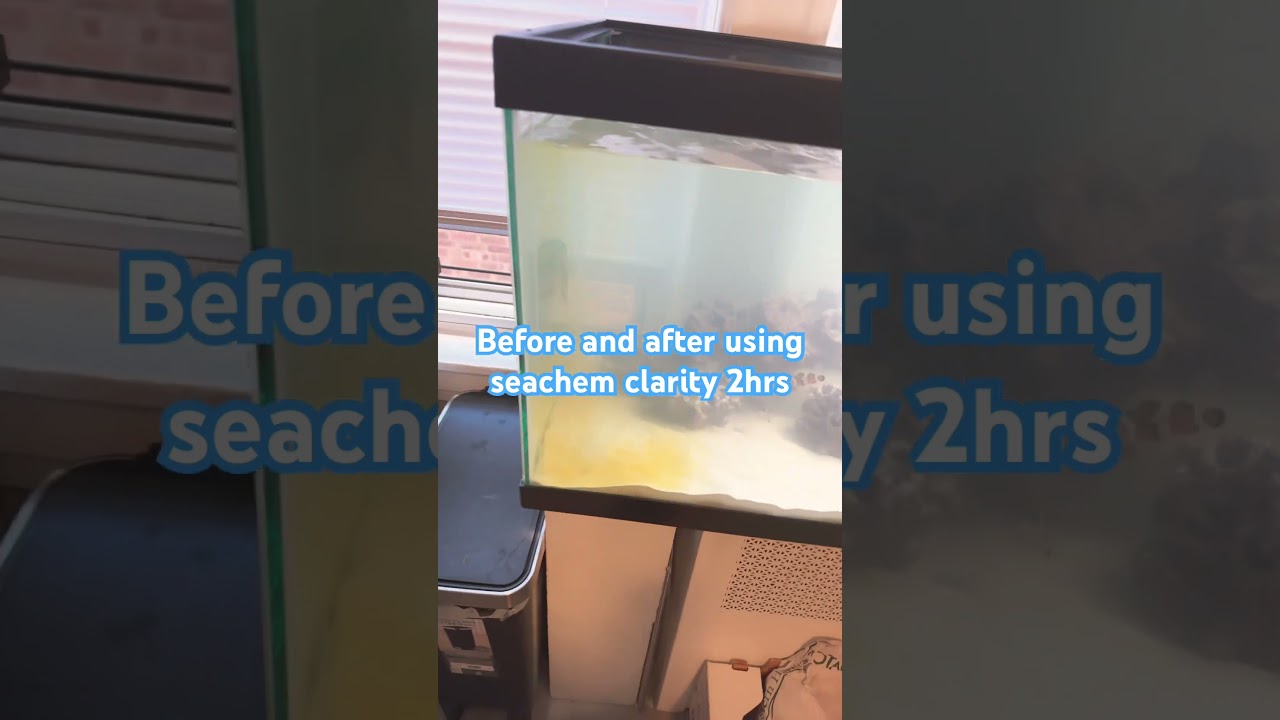 Seachem clarity #music #hiphop #fish #fishtank #reeftank #saltwaterfishtank #nemo