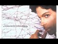 Prince Live In Los Angeles 2004 Musicology Tour